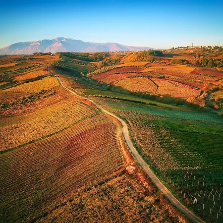 La Casa Del Vino - B&B Tollo Экстерьер фото