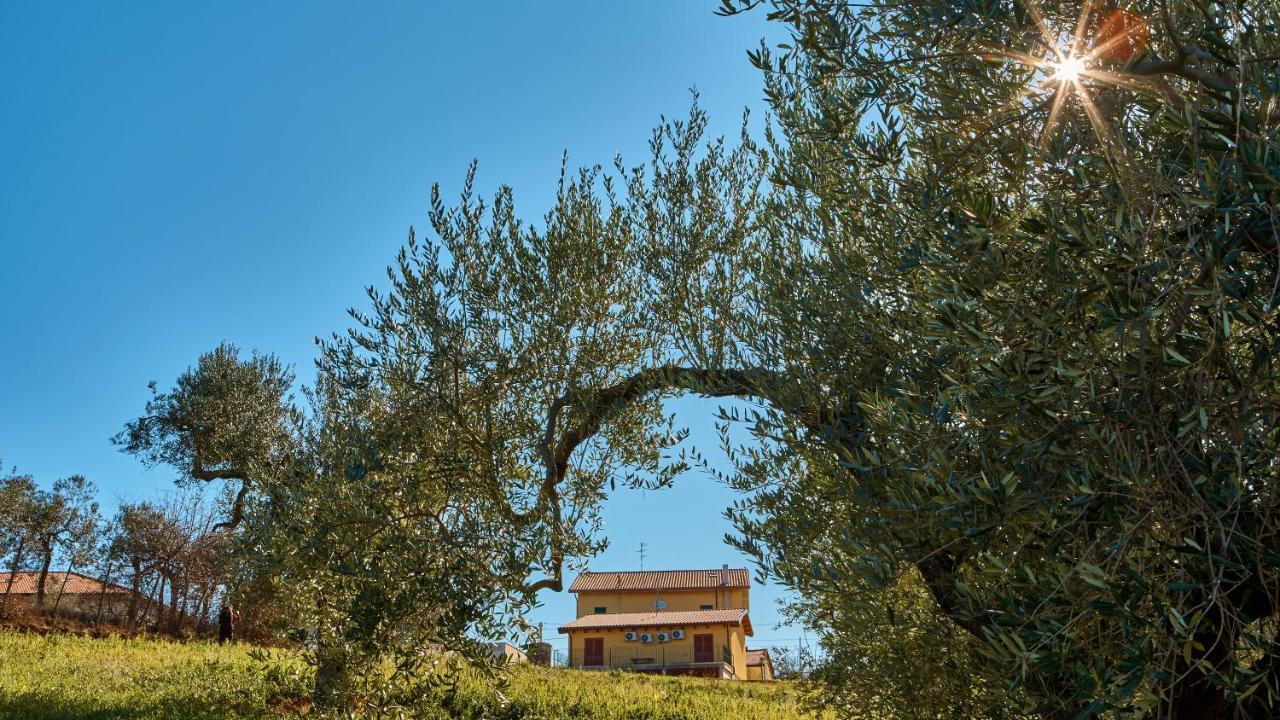 La Casa Del Vino - B&B Tollo Экстерьер фото